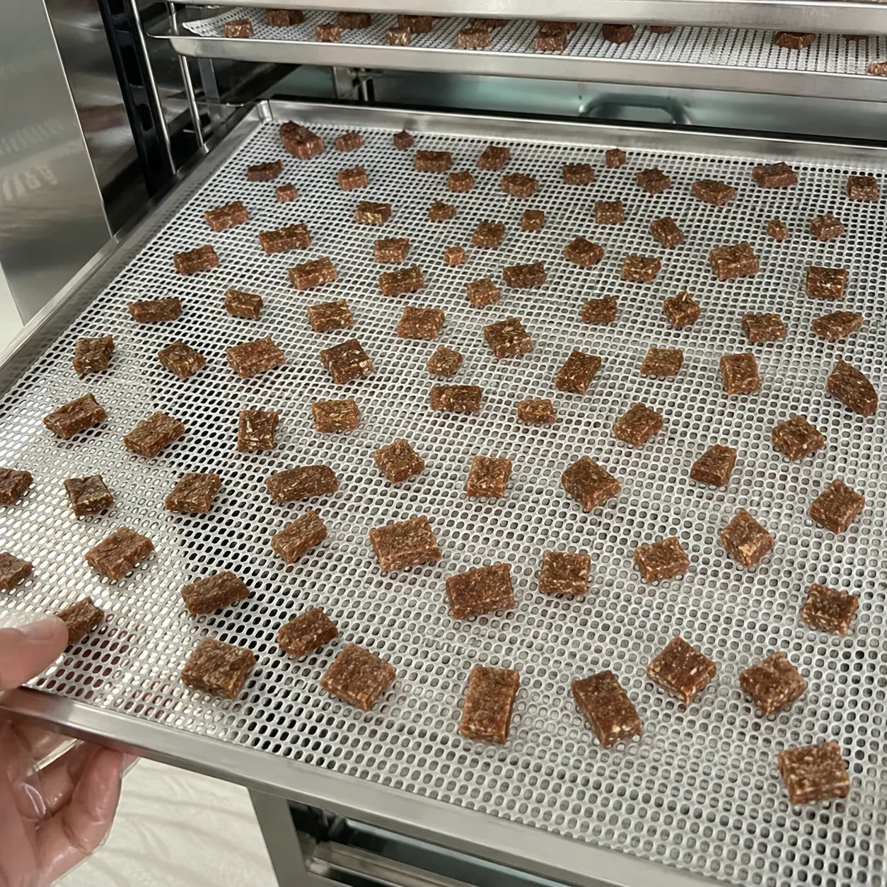 Pet treats drying on a silicone mesh tray liner