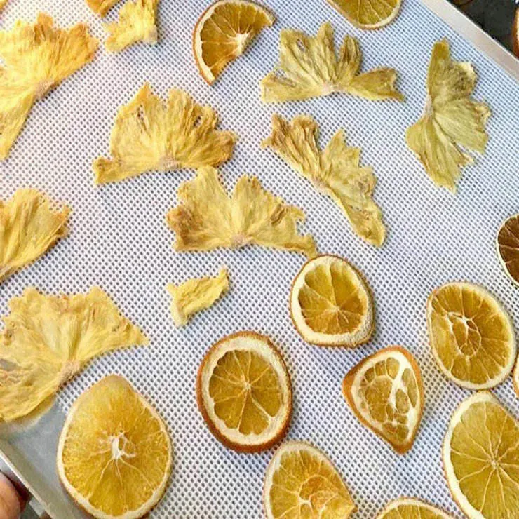 Dehydrator Tray Mesh Mats application